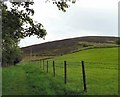 Towards Slatepit Moor