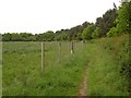 The bridleway alongside Beard