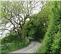 SH3785 : The road north-eastwards towards the hamlet of Llanbabo by Eric Jones