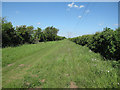 Byway to Newmarket Road