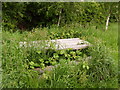 Bring your own strimmer, bench on the riverside walk, Newtown, Powys