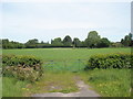 View from Hawkley Road towards Liss Cemetery