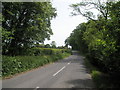 Looking eastwards along Hawkley Road