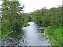 SN9985 : Afon Hafren (River Severn) by P L Chadwick