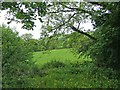 Rural view from the A470 road at Upper Penrhuddlan