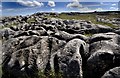 NY6410 : Wide Angle Shot Of A Limestone Pavement by Duncan McNaught