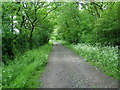 Byway near Nun wood