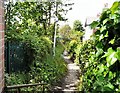 Footpath behind Butterfield Close