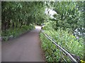 Clyde  Walkway, Dalmarnock