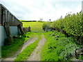 Bridleway west from Tyn-y-bryn