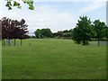 Running track in Bellahouston Park