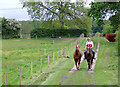 Training the ponies, Stoneley Green, Cheshire