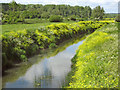 The River Brue at Pomparles Bridge, Glastonbury