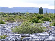 M3706 : Limestone pavement - Cahererillan Townland by Mac McCarron