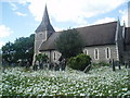 St Leonards Church, Aldrington