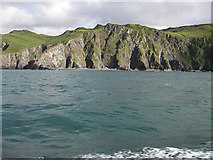 SS5047 : Cliffs, Hazel Bushes Bay by Pauline E