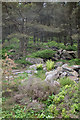 SS8994 : Boulders in the forest near Blaengarw (2) by eswales
