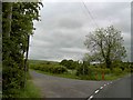 Footpath and road to Pinchmill fisheries