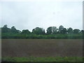 South Hampshire : Ploughed Field