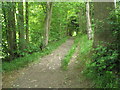 Path at the bottom of Shoulder of Mutton Hill