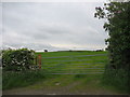 Farmland at Pen-yr-allt