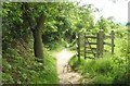 Gate within Warren Copse