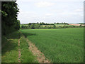 Footpath towards the railway