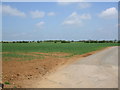 Fields near Wilsford Heath Farm