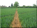 Footpath to Malthouse Cottages