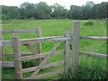 Kissing Gate to Charing Alderbed Meadow