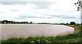 The Ouse, south of Skelton