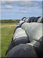 Silage bales