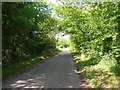 New Road towards the A165