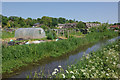 Allotment gardens, Abbotts Barton