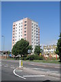 Pink and white towerblock in Forton Road