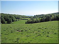 Farmland near Maeshafn