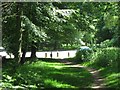 The start of a track through the Ashridge Woods