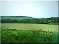 Looking south from the A353