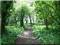 Bridleway near the Links Hotel