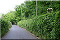 Looking down Luscombe Hill near Oak Cottage