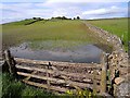 Field near Craig, Dunscovre