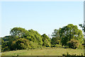 Dismantled railway near Staverton (2)