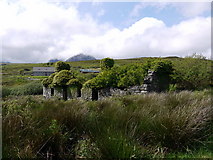 NR5571 : Ruined croft house at Knockrome by Andrew Curtis