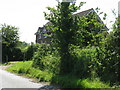 House on Brook Lane opposite Greatham church