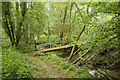 Footbridge over Ford Lake