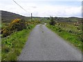 C4753 : Road at Dreenagh by Kenneth  Allen