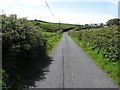 C4653 : Road at Dreenagh by Kenneth  Allen