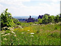 View from Hatherstone Wood