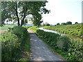 Halberton : Grand Western Canal