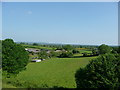 Mid Devon : Fields, Trees, & Countryside